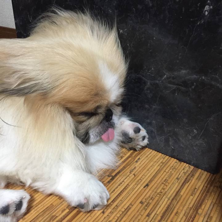 6c748bd6 3748 4401 b556 7530acc3a82a