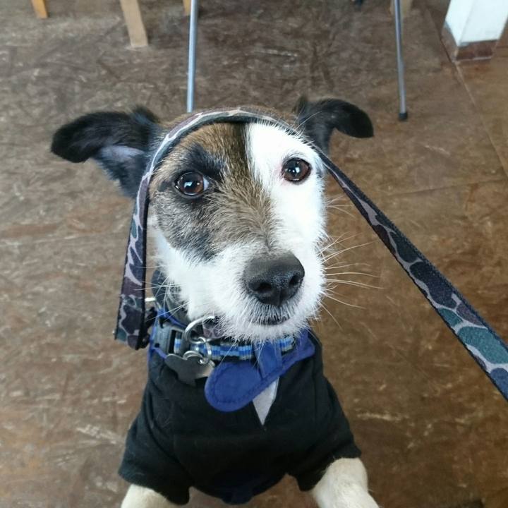 6c74b8e8 43e6 4a15 ab61 a1a8ef010aef