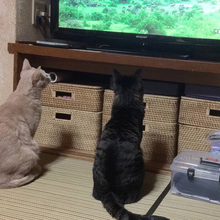 6c74df52 3e3e 45aa 882e 4731d98e57e3