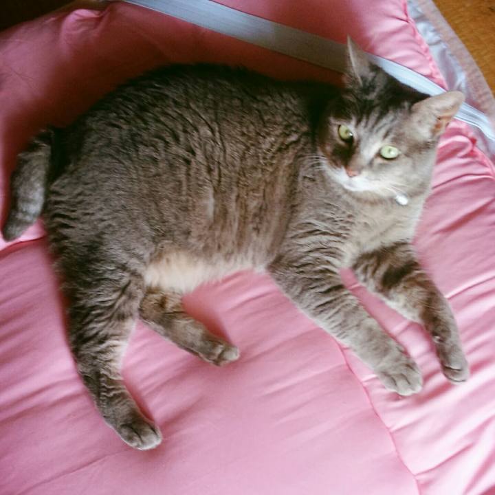 6c74eda1 4a1f 4f95 bd5b 8bf0af9b40df