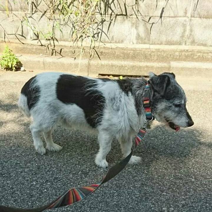 6c7510d0 b980 4d07 9c2a f9562bccce08