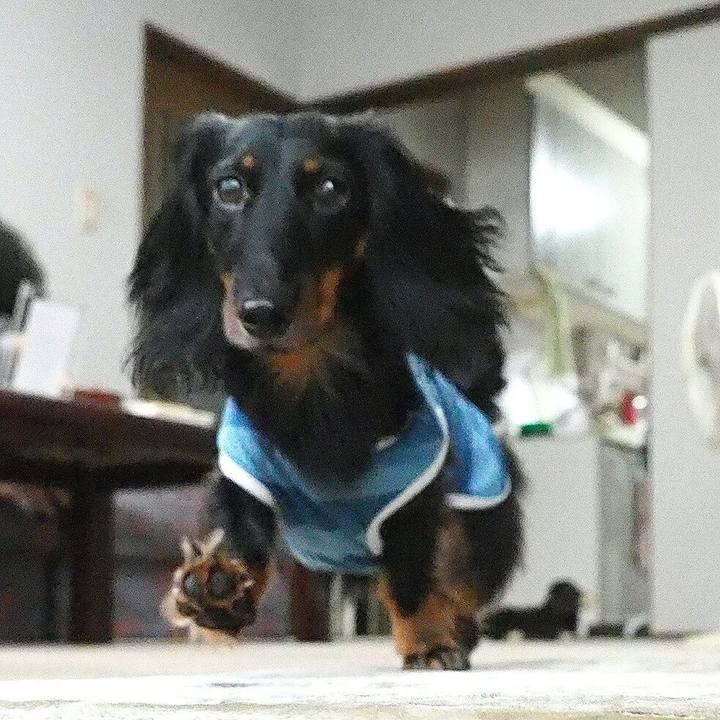 6c763309 4e5b 4eea 8452 e738e48c036b