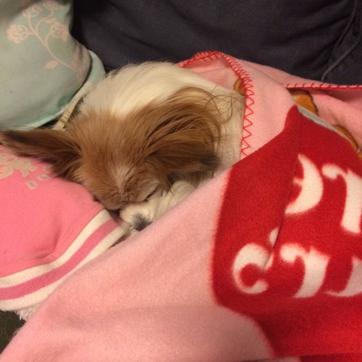 6c774035 206f 4c55 9f56 bc75fd99c22e