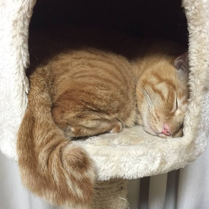 6c77597d 32e6 4161 8271 fddc2b37a7a2