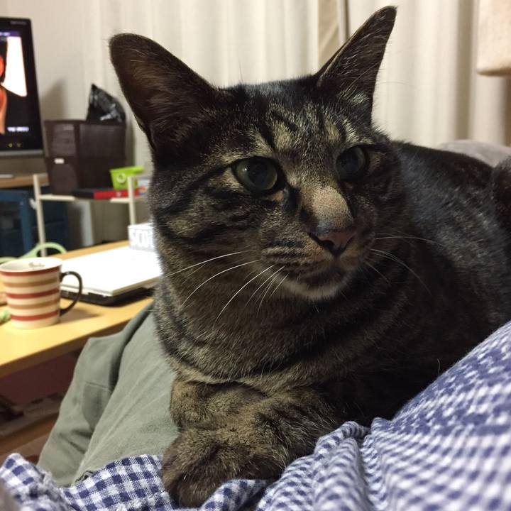 6c781757 e4f2 4127 bca5 f6ae6c15c47a