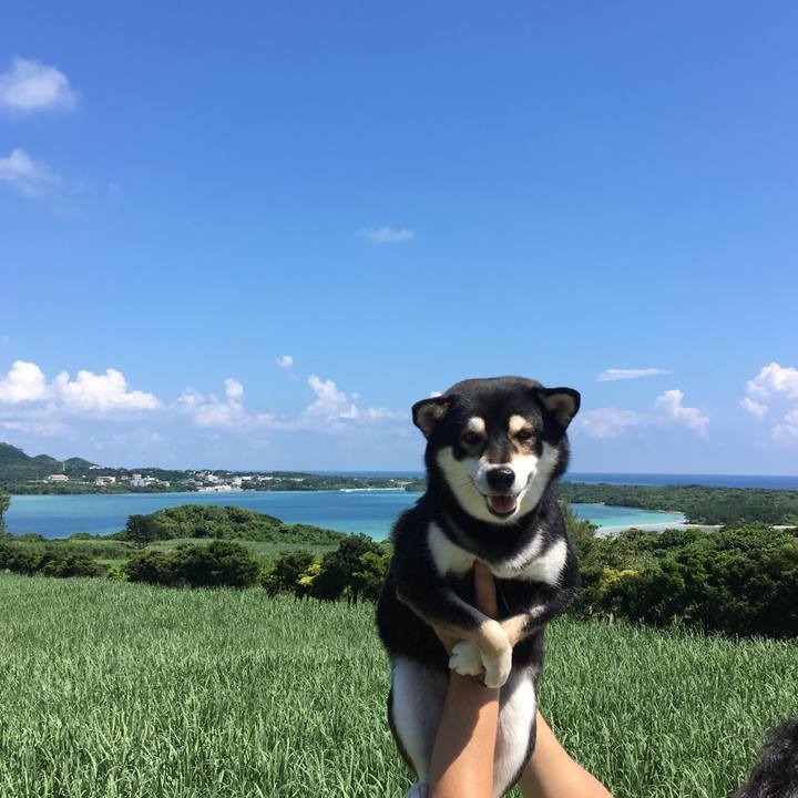 6c78ecff f2ce 4d00 a8c5 4faea5f1c68b