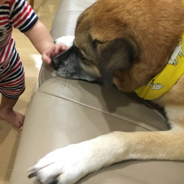 6c7a15bc 3722 469b b6b9 8f5275121805