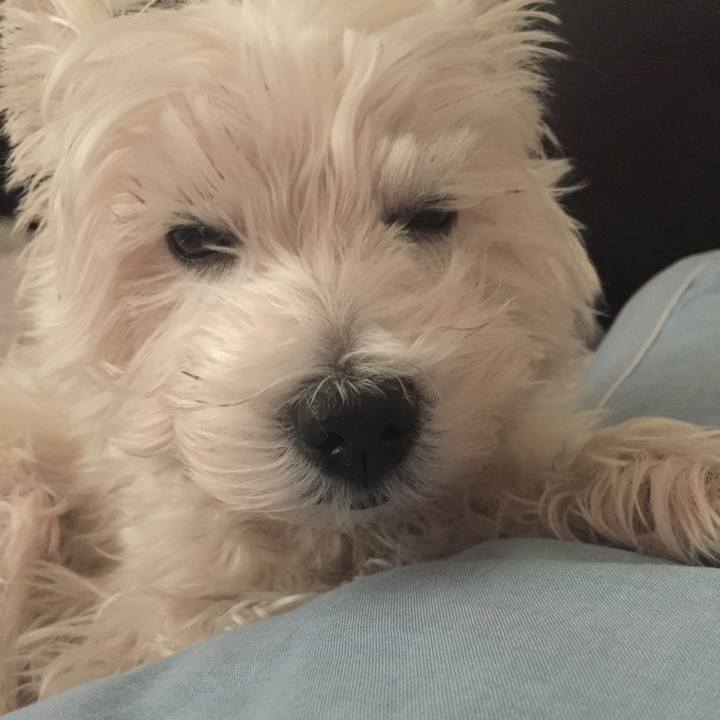 6c7b27f3 a7bc 40ab 8cb3 ed3e19544b2f