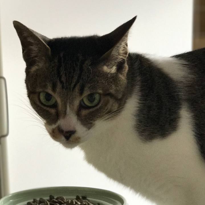 6c7b85f7 0b26 454c ae1b 2d88d99776c5