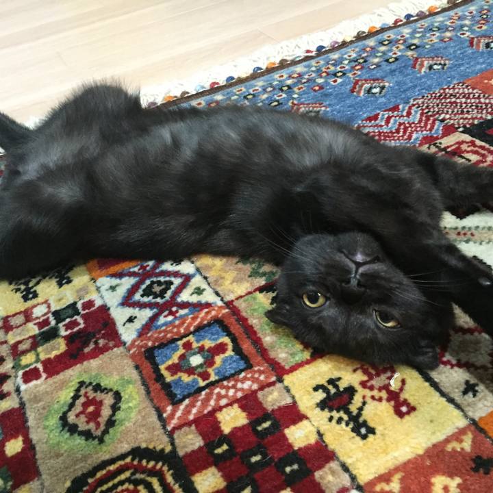 6c7bc94b a552 4ae2 b7fd 4801c0ce7058