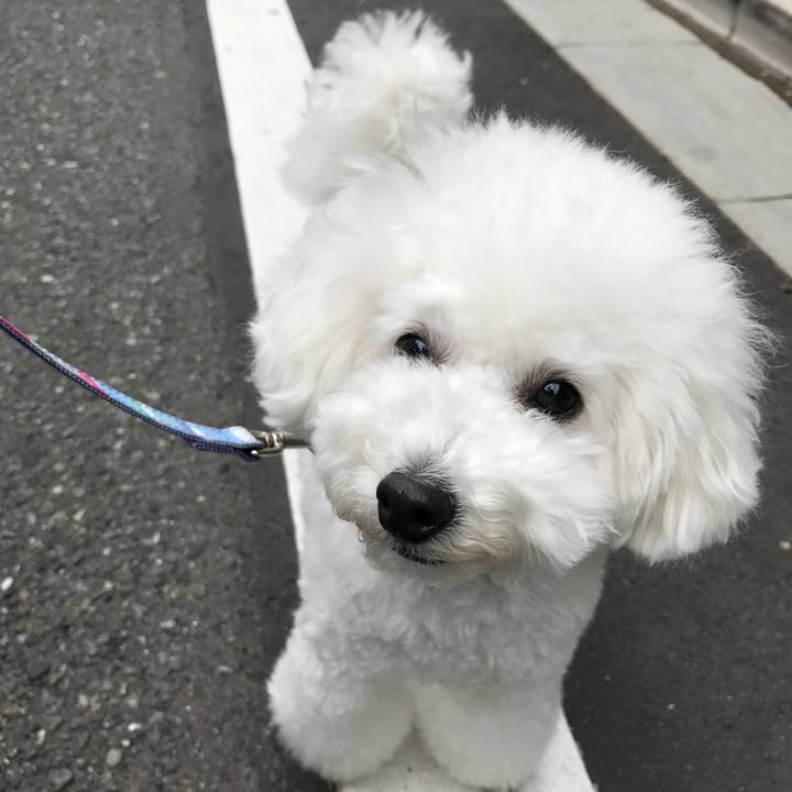 6c7c0299 4453 4f62 80d2 d6a302cdc391