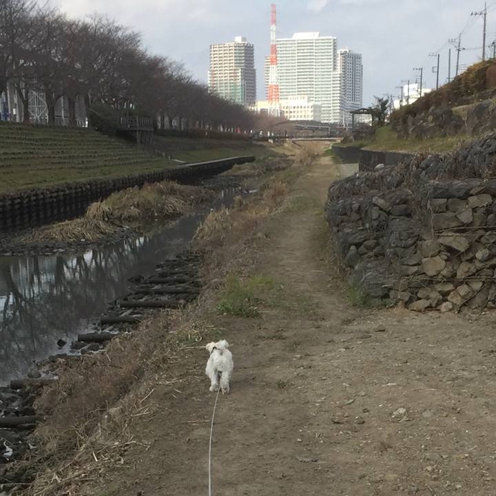 6c7c1898 7e84 4502 8c9c dede3a75cc75