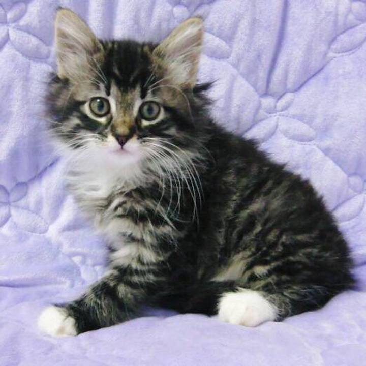 6c7ce590 1646 4cf2 9543 4981c3413d66