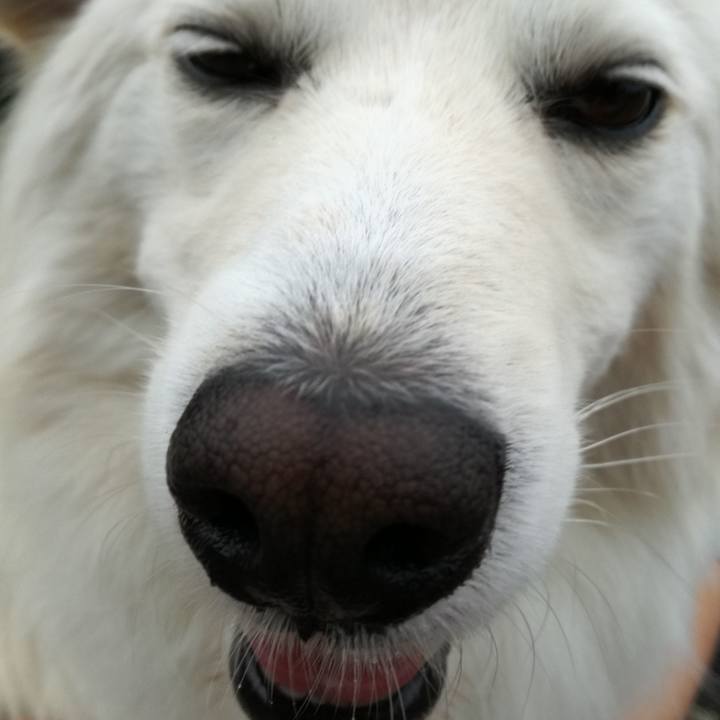 6c7d0b5c 0c6f 4595 94d1 3e732f53e72a