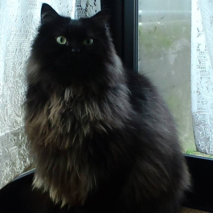 6c7d3ebd c0c2 40df b794 7f2237cea383