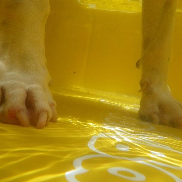 6c7d5b1e 643a 46d8 a12c 84f61532f28b