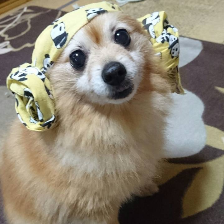 6c7d82ad f563 418a 9001 664b095e7f0a