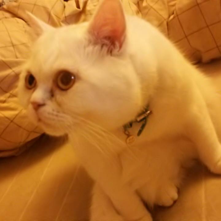 6c7d8bfd 3b26 4af7 bae0 ab1cf95b3d2a