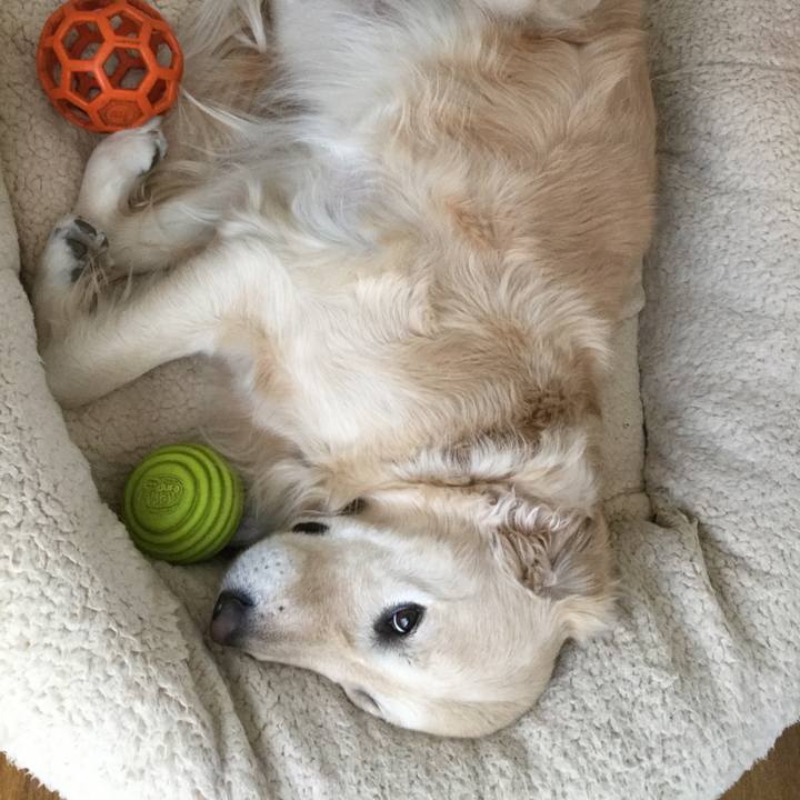 6c7e563b 8a21 485d b29a ab0e6fa0bba7