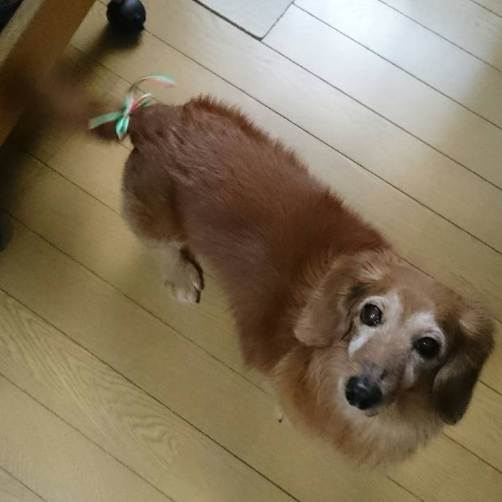 6c7ed184 11dc 4161 afde ad852a2e8d7e