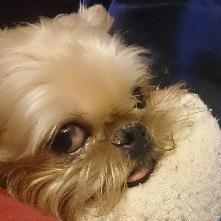 6c7f1410 4bed 44e3 983b 3b7fa4098a78