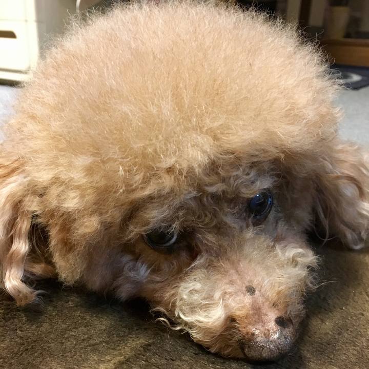 6c7f6192 b6ab 49c4 b2d8 6c3e90dd8022