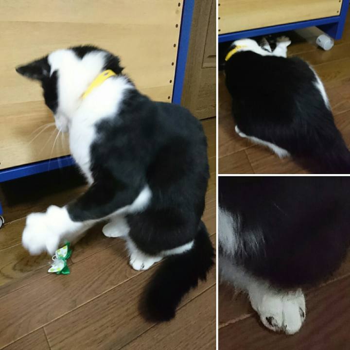 6c7ff82f d733 4c11 b314 f2795d7e033b