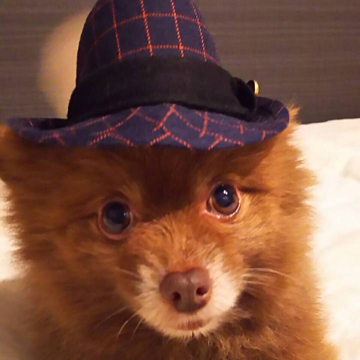 6c807e27 dd0a 4d2d 8c19 10b24fbb10e1