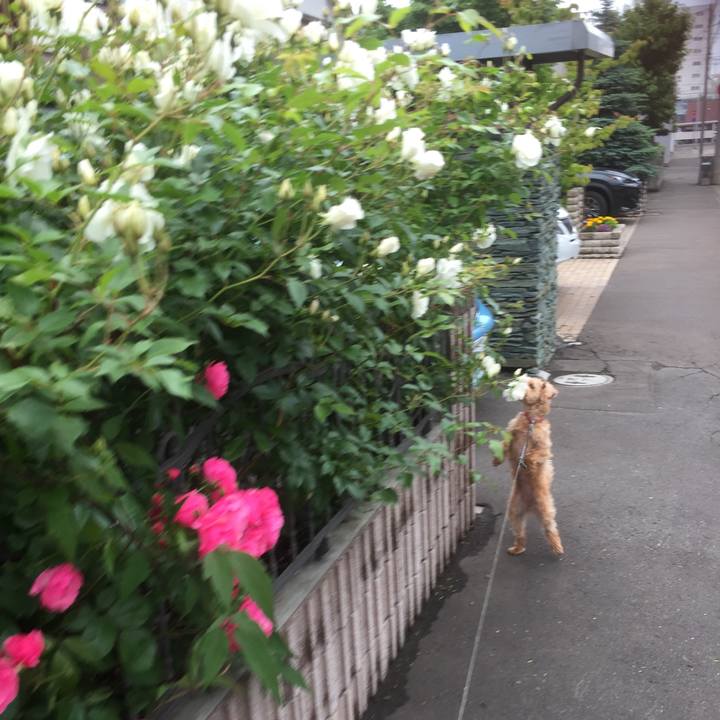 6c8092bb 3ad9 49c5 bd3a 33641490bb28