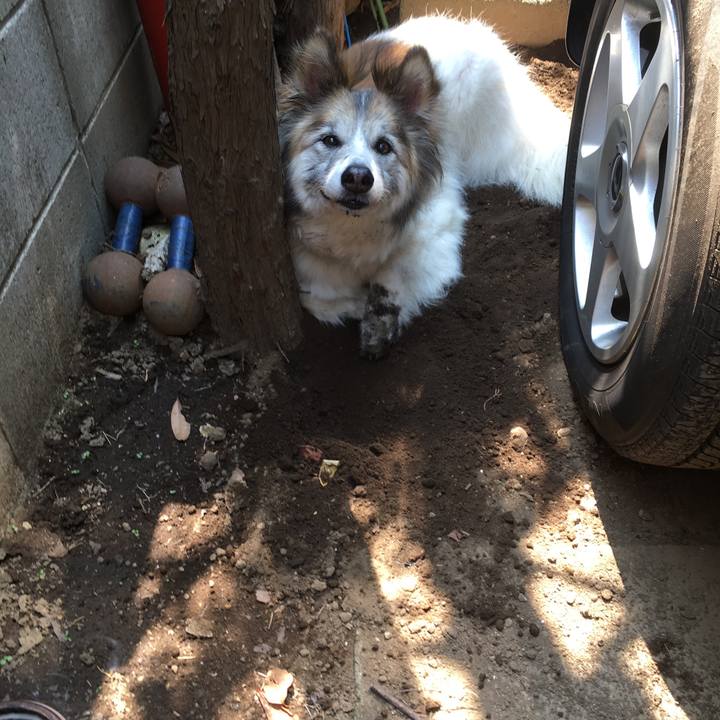 6c80d6b6 3a3f 4777 bfd0 6fc22207e623