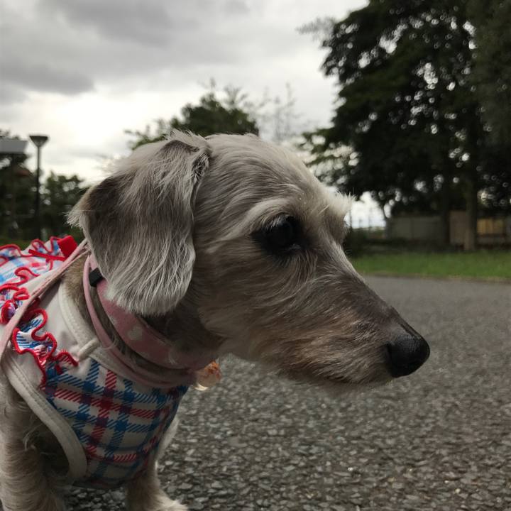 6c810087 3838 4471 8b4a e2e0fd8951f6