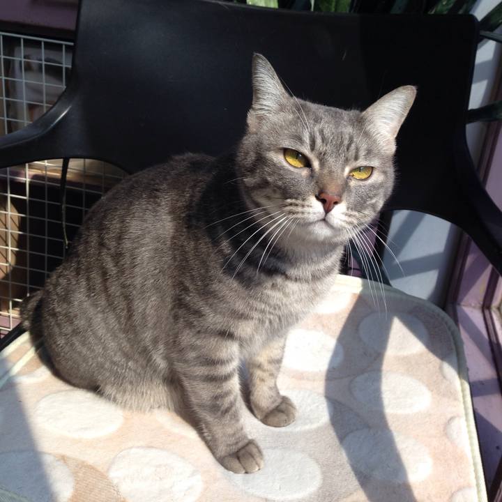 6c8101f1 0e67 4b3f bf95 324e571df421