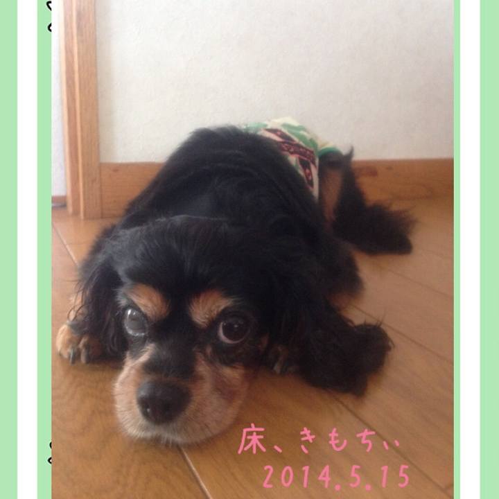 6c811312 1905 4b89 813f 44c1c97aad14