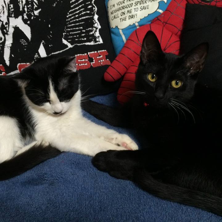 6c8134bc 4b2a 4dec 8861 31380056171a