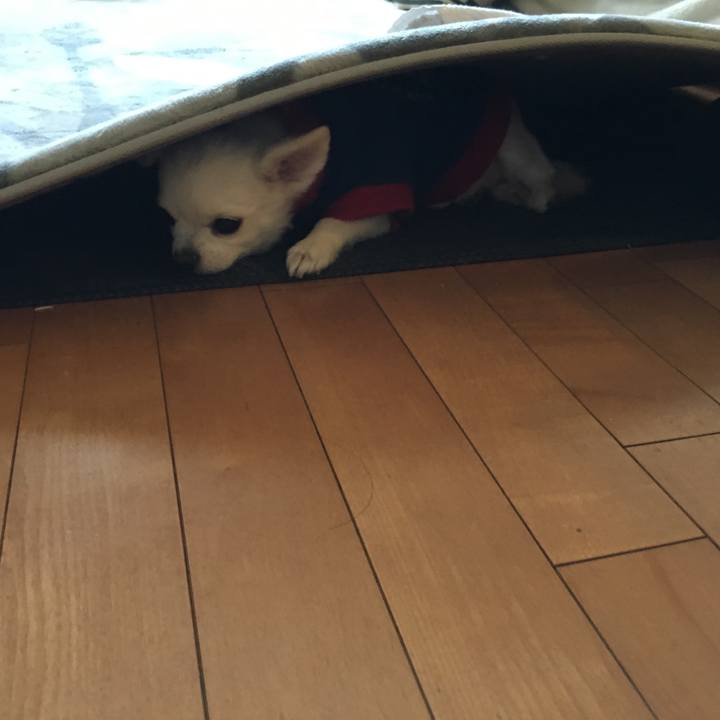 6c813fb1 865c 4947 99ea 71a21340aaed