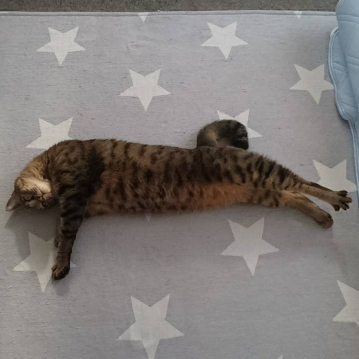 6c815c43 b21f 4459 8641 ed354e62640a