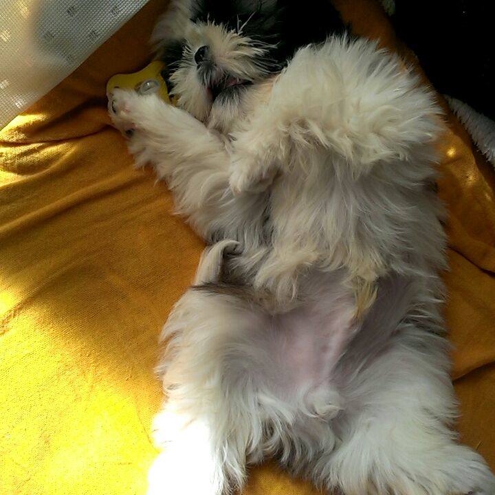 6c825318 9f56 4b0b 85e6 5f26edcdbc81