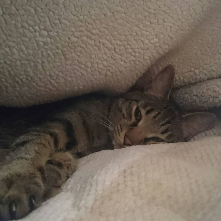 6c82cca7 1db7 4c0f ab04 8943f010cc14