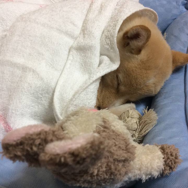 6c8372ee 2e12 4d67 8c40 d20a55fc3d25