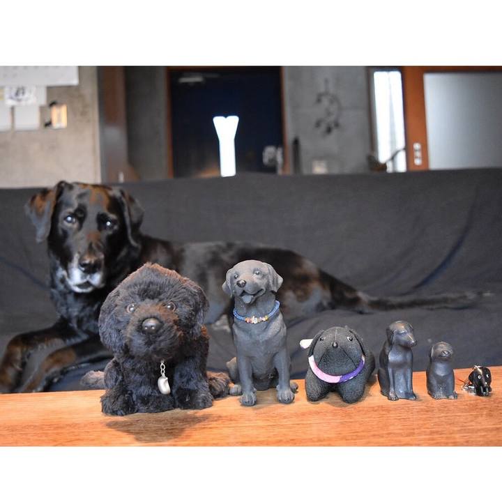 6c845923 9b6e 4fd5 8f41 94a1d64583d9