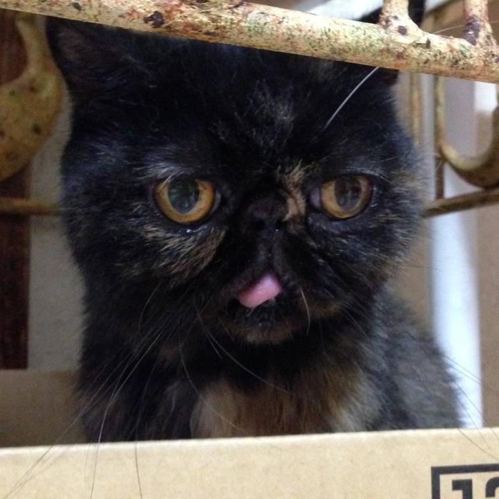 6c84598c 1695 4050 b4b6 9df04ca6ea27