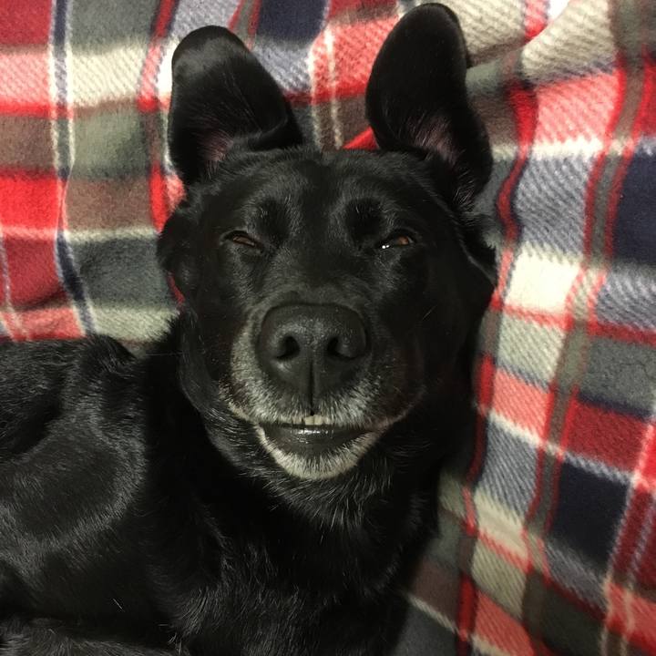 6c84b047 e2ee 424f aeaa fbc9a5c04a06