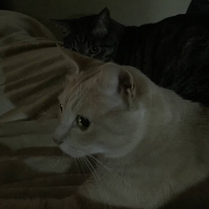 6c84eb94 3f00 470f 8f84 014873910882