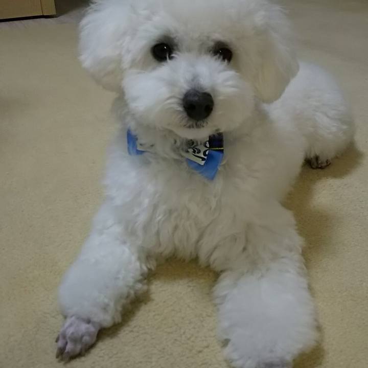 6c855ee4 677c 4d8b 98e9 eb23764d894d