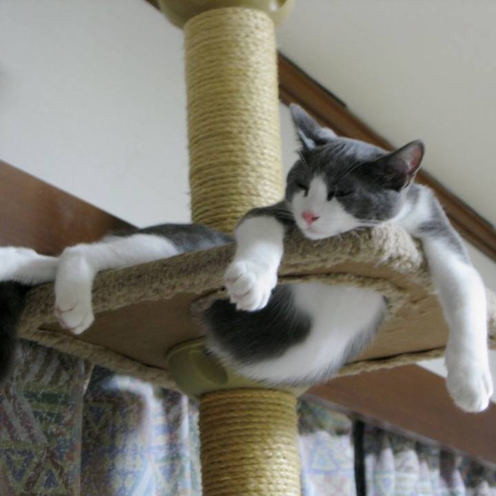 6c87146b 2a80 449f aede c55614643254