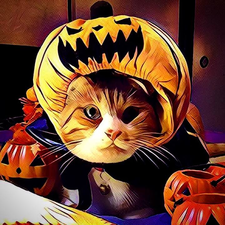 6c877547 d868 43ac a7b2 22ada1903ae2