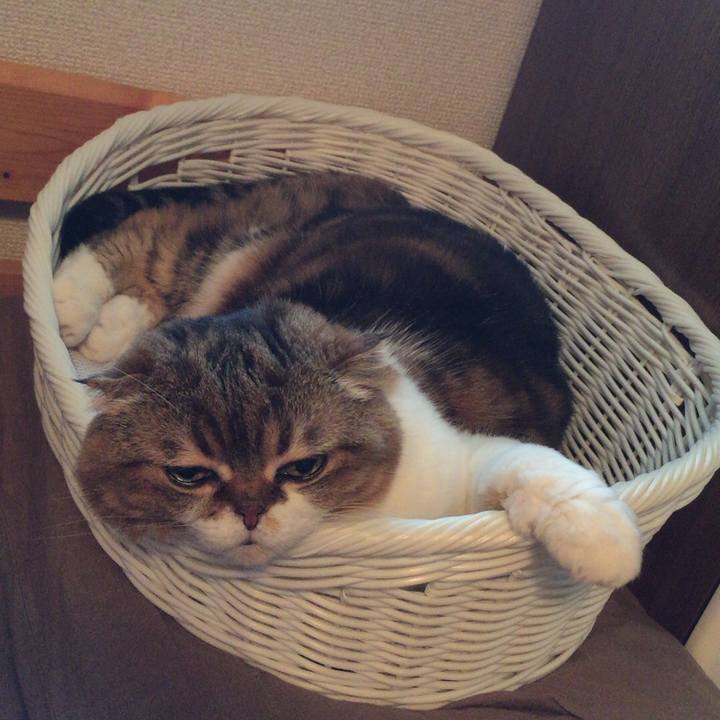 6c87779c f3ba 4461 a96a e2c6904dcd04