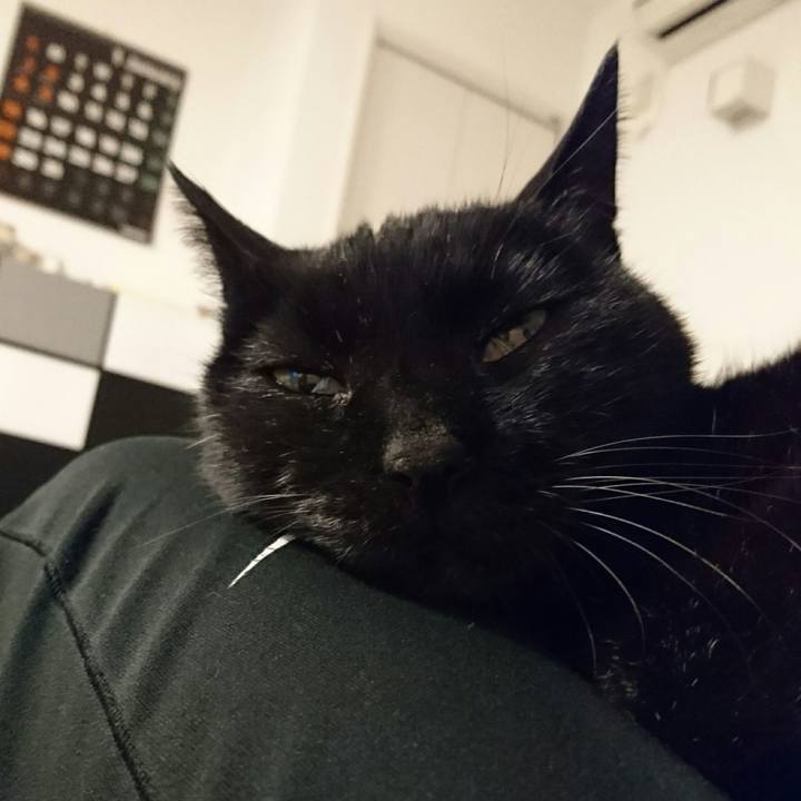 6c878d4d 1da3 4e40 a3bb 7ff1519f5f00