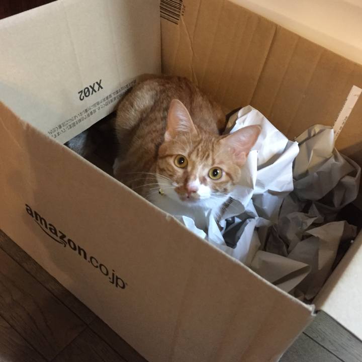 6c87f368 e0d3 46b4 913e 1431b9f792ad