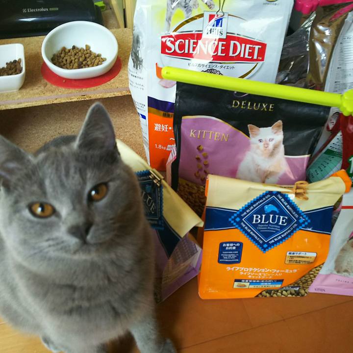 6c8851ba 13a9 4827 be78 1bc70606e5a8